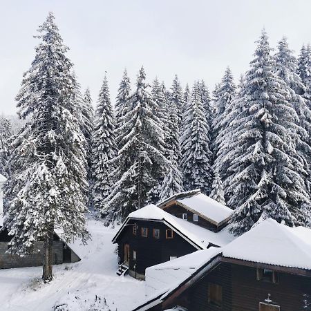 Apartments Zed Vila Zvoncica Kopaonik Exteriör bild