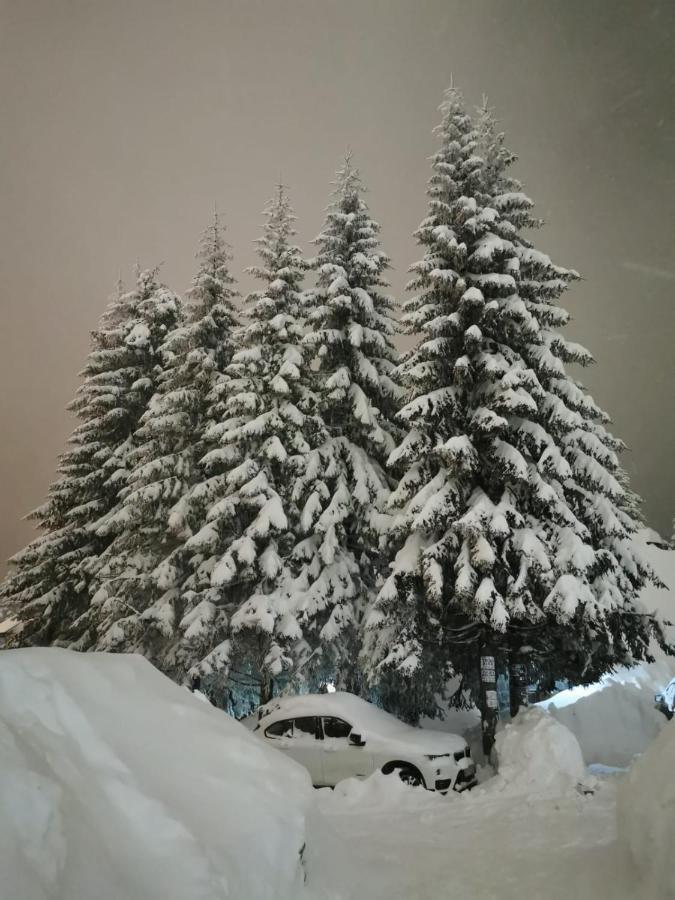 Apartments Zed Vila Zvoncica Kopaonik Exteriör bild